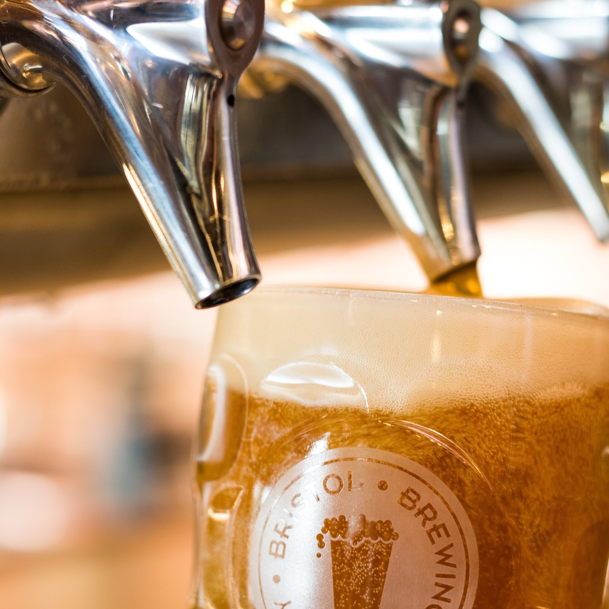 https://www.bristolbrewing.com/wp-content/uploads/2023/12/Ivywild-Phase-1-12-Cropped-scaled.jpg